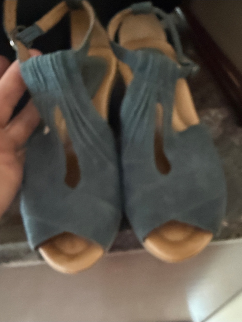 Earth Women's Blue Suede Wedge Sandals